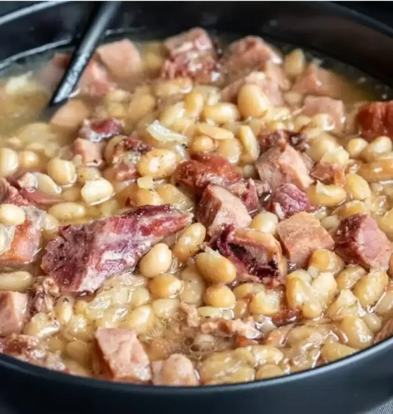 INSTANT POT NAVY BEAN SOUP